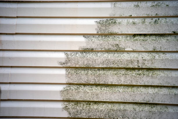 How To Choose The Right Materials for Your Siding Installation in 'Myerstown, PA