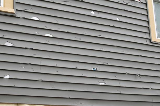 Best Brick Veneer Siding  in Myerstown, PA